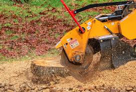 Best Utility Line Clearance  in Trinidad, CO